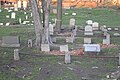 Gravestones in the cemetery