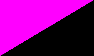 Bandeira lila-negra do movemento queer.