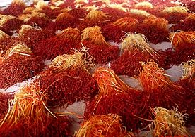 Saffron is both a spice and a widely used dye in Asia.