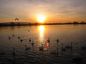 Tring Reservoirs at sunrise