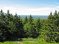 Looking south from Lead Mountain