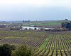 View of Carneros Sonoma from Artesa