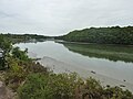 La partie amont de la rivière (ria) du Belon vue depuis les environs de l'anse de Keristinec.