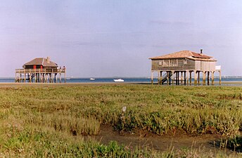 Bassin d'Arcachon, cabane tchanquée