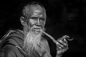 Homem barbudo fumando cachimbo. O cachimbo é um instrumento para fumar no qual o tabaco arde em uma câmara de combustão e a fumaça resultante é liberada por um bocal. O cachimbo é conhecido há quase tanto tempo quanto o próprio fumo do tabaco e faz parte de muitas culturas da América do Norte e do Sul. Fumar cachimbo era, com cheirar e mascar tabaco, a forma mais comum de consumir tabaco até o final do século XIX. Desde então, os cachimbos e os fumantes de cachimbo inicialmente ficaram em segundo plano devido à disseminação dos cigarros e charutos. (definição 5 500 × 3 667)