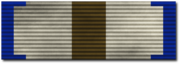 Bronze Wikification Ribbon