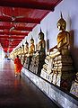 Buddha idols along a walkway