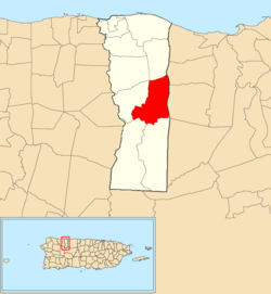 Location of Campo Alegre within the municipality of Hatillo shown in red