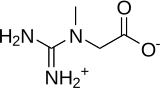 Skeletal formula of creatine