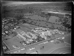 Aerial photograph of Greenlane Hospital 1946