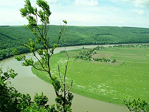 Меандр Днестра между с. Губин, Тернопольской обл. (на фото) и пгт. Чернелица Ивано-Франковской обл.