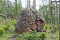 Volcanic rock from the volcano