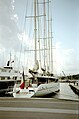 Le Phocéa au port Vauban d'Antibes en 1995.