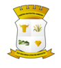 Coat of arms of Haute Matsiatra Region
