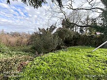 Cielo azul nublado. humedal lleno de vegetacion. en primer plano, pasto y un arbol, un cerco con casas detras. al otro lado del humedal se ven mas casas.