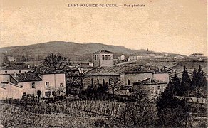 Saint-Maurice-L'Exil et son vignoble