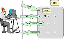 Man in front of the computer next to the Function Points Schema