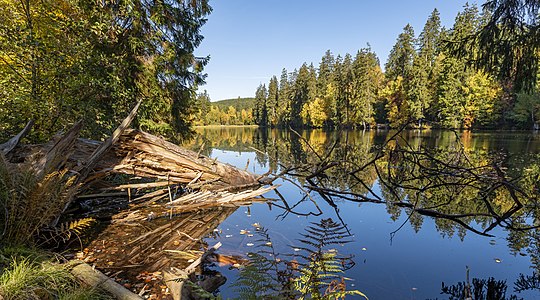 2. Platz: Silberteich im Harz Foto: HarzerJunge