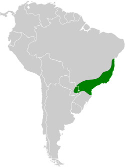 Distribución geográfica del tiluchí enano.