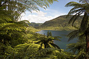 View of Lake Rotokākahi 2012