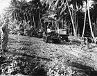 US tanks in the Solomon Islands during WWII
