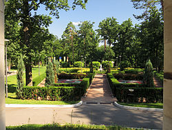 Bucha city park