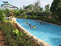 Roa's Rapids lazy river à Aquatica water park, Orlando