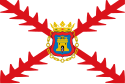 Bandeira de Tafalla