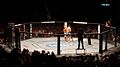 Image 39An octagon cage used by the UFC (from Mixed martial arts)