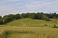 Colline de Régat.