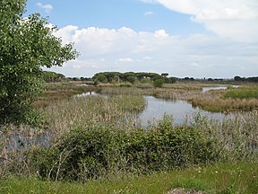 Doñana-Nationalpark