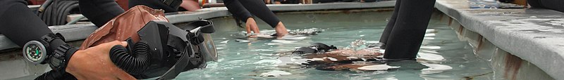 Divers learning to perform pre-dive tests on rebreather equipment