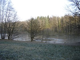 Image illustrative de l’article Bois-l'Évêque (forêt)