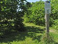 One of the many trails at Fletcher Wildlife Garden