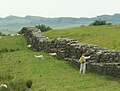 Der Wall nahe Birdoswald; Die Mauer wird von Zeit zu Zeit mit Chemikalien besprüht, um unerwünschten Pflanzenbewuchs zu verhindern