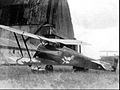 Hanriot-Dupont 1 de la 9e escadrille en 1919