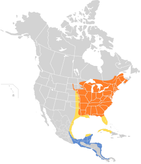 Description de l'image Hylocichla mustelina map.svg.