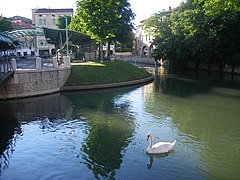 Isola della Pescheria