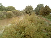 Ihme in a flood ditch to the left of a flooded bicycle path in Hanover, taking floodwater to the Leine.