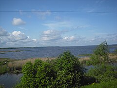 Vista desde el tren Moscú-San Petersburgo