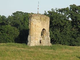 Image illustrative de l’article Château de Knepp