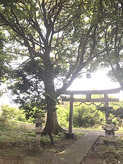 子ノ神古墳（子ノ神神社）