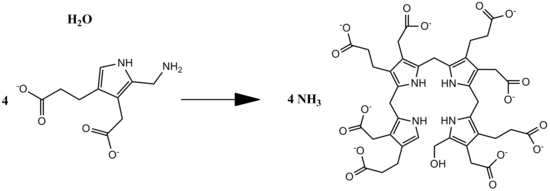 Overall reaction of PB deaminase