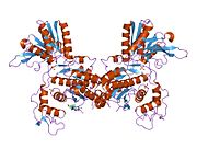 1ewt​: Kristalna struktura ekstracelularnog domena metabotropnog glutamatnog receptora 1 bez liganda, forma I