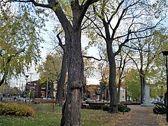 Parc du Square Garneau