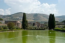 Man-made pond with ducks swimming and hills in the background