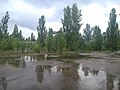 Depuis la place centrale de Pripyat, l'hôtel Polissya peut être vu derrière les arbres