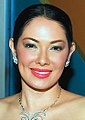 Ruffa Gutierrez Miss World 1993 2nd runner-up