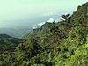 World's End, a sheer precipice, is in Horton Plains National Park.