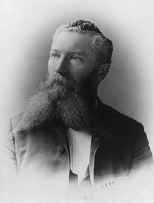 Portrait of a white man with wavy hair and a long, forked beard, wearing a suit.